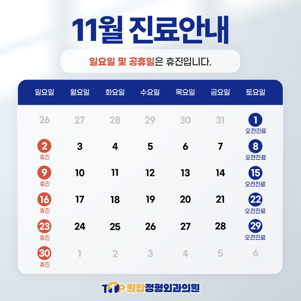 11월 진료안내
